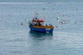 Seagulls fighting over fish above a small fishing boat off the Portuguese coast