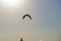 Seagulls in flight on against the blue sky and coastline Royalty Free Stock Photo