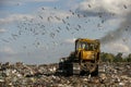 Seagulls fly over piles of garbage. A bulldozer tractor works at a large landfill near Kyiv, Ukraine. May 2016