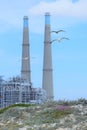 Seagulls Flying at Natural Gas Power Plant Royalty Free Stock Photo