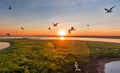 Seagulls fly at sunset, aerial view, white birds, lake and island, beautiful sky Royalty Free Stock Photo