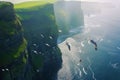 Seagulls flying above rough sea cliffs in scenic Irish landscape. Wild birds of west coast of Ireland, dramatic sunset