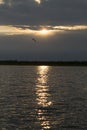 Seagulls flying against the backdrop of the sunset