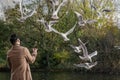 Seagulls flying around a person who feeds them