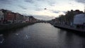 Seagulls flying around the river Liffey