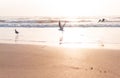 Seagulls Flying On Beautiful Sunset Sunrise Beach Royalty Free Stock Photo