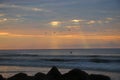 Seagulls flying Folly Beach South Carolina