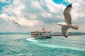 Seagulls flying in front of passenger ferry | Vapur sailing in the bosphorus in a cloudy day in Istanbul. Ferry very popular and Royalty Free Stock Photo