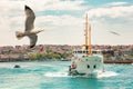 Seagulls flying in front of passenger Seagulls flying in front of passenger ferry | Vapur sailing in the bosphorus in a cloudy day