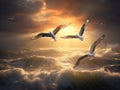 Seagulls flying after heavy Rainstorm over Ocean. Some sunbeams coming through clouds and lighten seagulls. Royalty Free Stock Photo