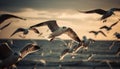 Seagulls flying in mid air, spread wings against a sunset sky. generated by AI Royalty Free Stock Photo