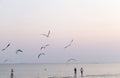 Seagulls flying over the beach Royalty Free Stock Photo