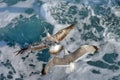 Sea and birds. Seagulls flying. Summer seascape Royalty Free Stock Photo