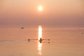 Seagulls Flying over Rowing Team Trainer over Shimmering Lake at Sunset Royalty Free Stock Photo