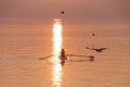 Seagulls Flying over Rowing Team Trainer over Shimmering Lake at Sunset Royalty Free Stock Photo