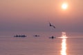 Seagulls Flying over Rowing Team Training over Shimmering Lake at Sunset Royalty Free Stock Photo