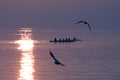 Seagulls Flying over Rowing Team Training over Shimmering Lake at Sunset Royalty Free Stock Photo