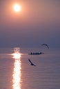 Seagulls Flying over Rowing Team Training over Shimmering Lake at Sunset Royalty Free Stock Photo