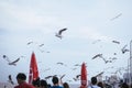 Seagulls flying over the sea at Bangpu Samut Prakan,Thailand