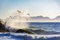 Seagulls flying over the sea at Ipanema beach Royalty Free Stock Photo