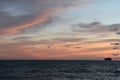 Seagulls flying over the sea at sunset, Thailand Royalty Free Stock Photo