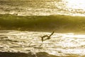 Seagulls flying over the sea and waves during sunrise Royalty Free Stock Photo