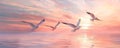 Seagulls flying over a tranquil sea at sunset Royalty Free Stock Photo