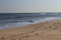 Seagulls flying over waves at sandy coastal shoreline ocean beach Royalty Free Stock Photo