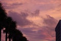 Seagulls flying in the pink sky at sunset Royalty Free Stock Photo