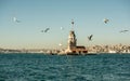 Seagulls flying in sky around the Maiden tower in Istanbul Royalty Free Stock Photo