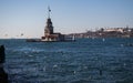 Seagulls flying in sky around the Maiden tower in Istanbul Royalty Free Stock Photo