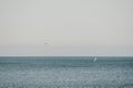 A flock of seagulls fly, fishing and swim in the sea. Warm sunset sky over the ocean. Silhouettes of seagulls flying in Royalty Free Stock Photo