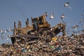 Seagulls flying in the trash Royalty Free Stock Photo