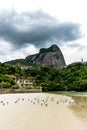 seagulls flying underneath bridge in the point where the sea meets the Marapendi Lagoon, in Barra da Tijuca, Rio de Janeiro Royalty Free Stock Photo