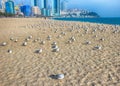 Seagulls in Haeundae Beach, Busan, South Korea Asia Royalty Free Stock Photo