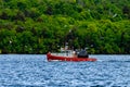 Seagulls Hounding the Fishing Boat Royalty Free Stock Photo