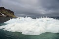 Seagulls on the iceberg