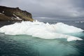 Seagulls on the iceberg