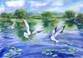 Seagulls flying over a pond