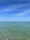 Seagulls inflight over the Atlantic Ocean Miami Beach, Florida