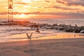 Seagulls landing on the beach near the jetty of the shark river inlet at sunrise. Royalty Free Stock Photo