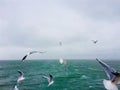 View from the ferry