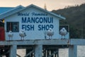 Seagulls in Mangonui