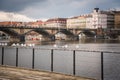 Seagulls near the Vltava river and Palacky bridge in Prague, Czech Republic Royalty Free Stock Photo