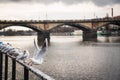 Seagulls near the Vltava river and Palacky bridge in Prague, Czech Republic Royalty Free Stock Photo