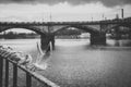 Seagulls near the Vltava river and Palacky bridge in Prague, Czech Republic Royalty Free Stock Photo