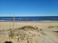 Seaoats Seagulls ocean beach fence ocean water salt life Royalty Free Stock Photo