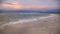 Seagulls on ocean beach at sunset Royalty Free Stock Photo