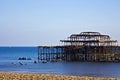 Seagulls on ruined West Pier in Brighton, Royalty Free Stock Photo