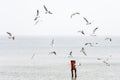 various species of seagulls over the sandy beach, Sopot, Poland